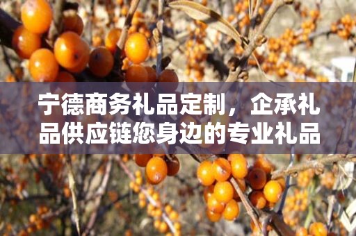 宁德商务礼品定制，企承礼品供应链您身边的专业礼品定制公司