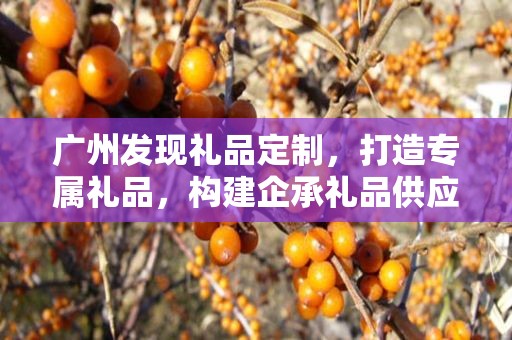 广州发现礼品定制，打造专属礼品，构建企承礼品供应链