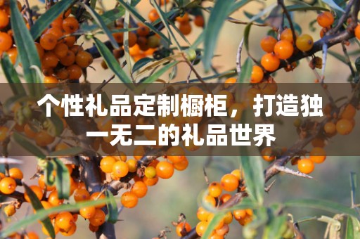 个性礼品定制橱柜，打造独一无二的礼品世界